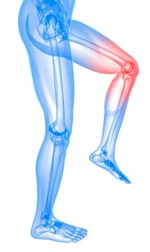 fotolia_23102832_x